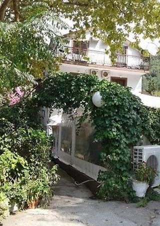 赫尔采格诺维Pansion Mimoza住宿加早餐旅馆 外观 照片