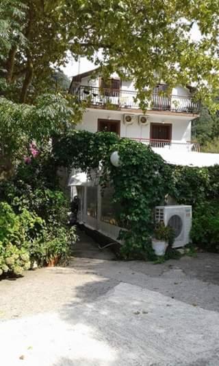 赫尔采格诺维Pansion Mimoza住宿加早餐旅馆 外观 照片